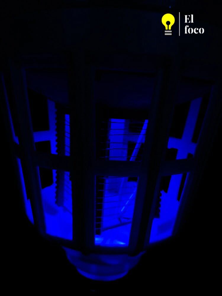 WhatsApp Image 2021-04-09 at 10.28.11 AM (1)