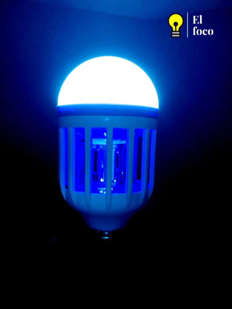 WhatsApp Image 2021-04-09 at 10.28.11 AM (2)