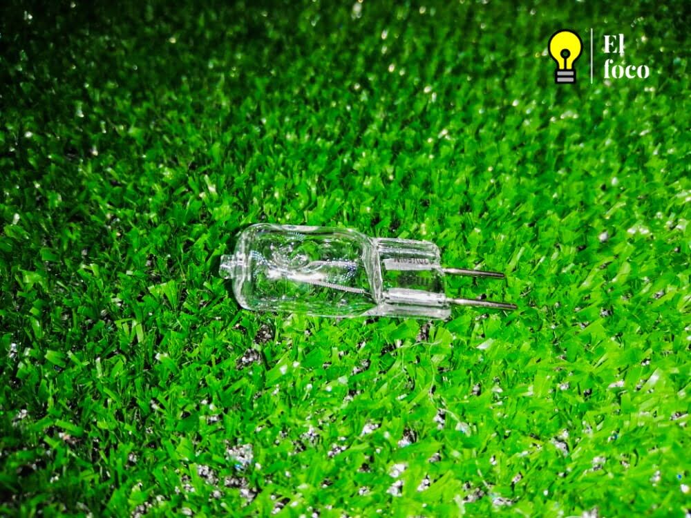 WhatsApp Image 2021-04-09 at 10.28.20 AM