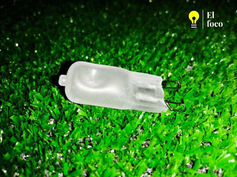 WhatsApp Image 2021-04-09 at 10.28.59 AM