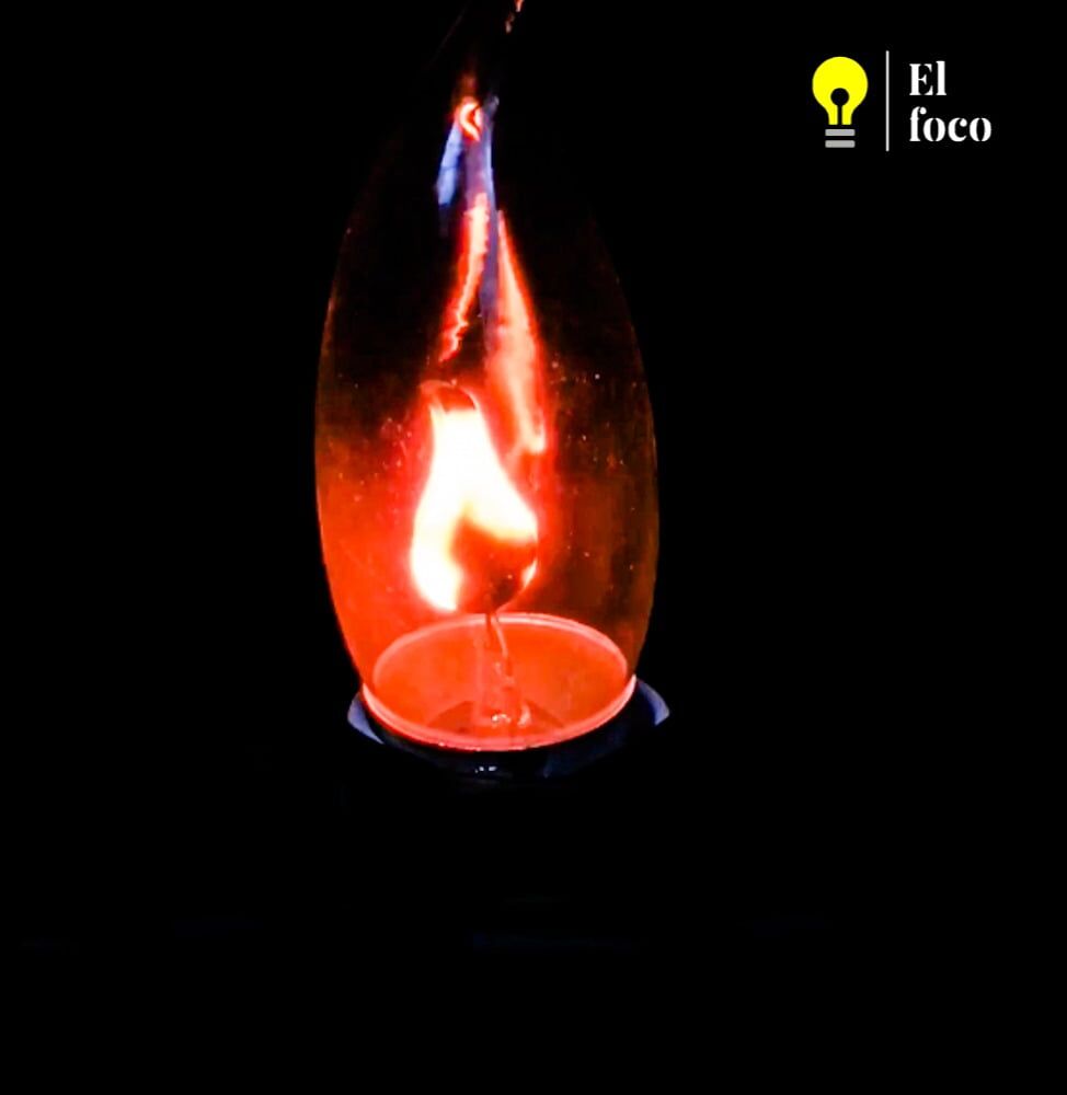 WhatsApp Image 2021-04-09 at 10.29.38 AM (1)