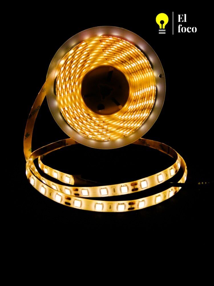 WhatsApp Image 2021-04-09 at 10.30.28 AM