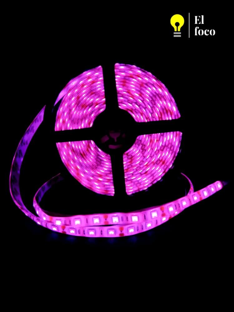 WhatsApp Image 2021-04-09 at 10.30.41 AM (1)