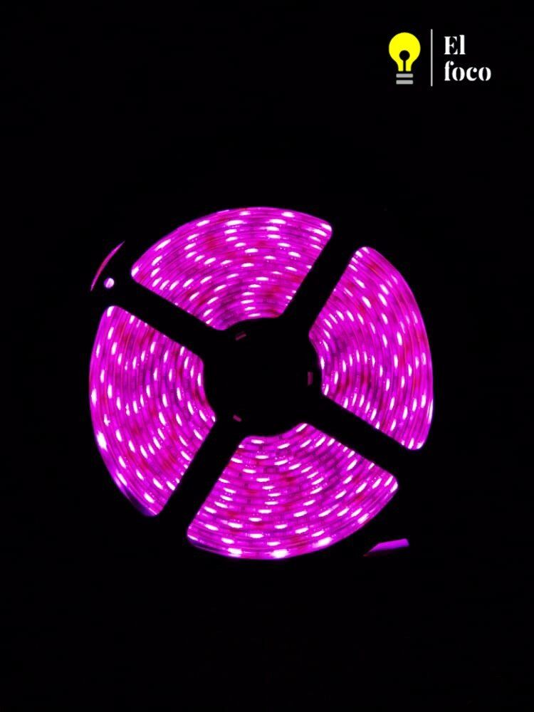 WhatsApp Image 2021-04-09 at 10.30.41 AM