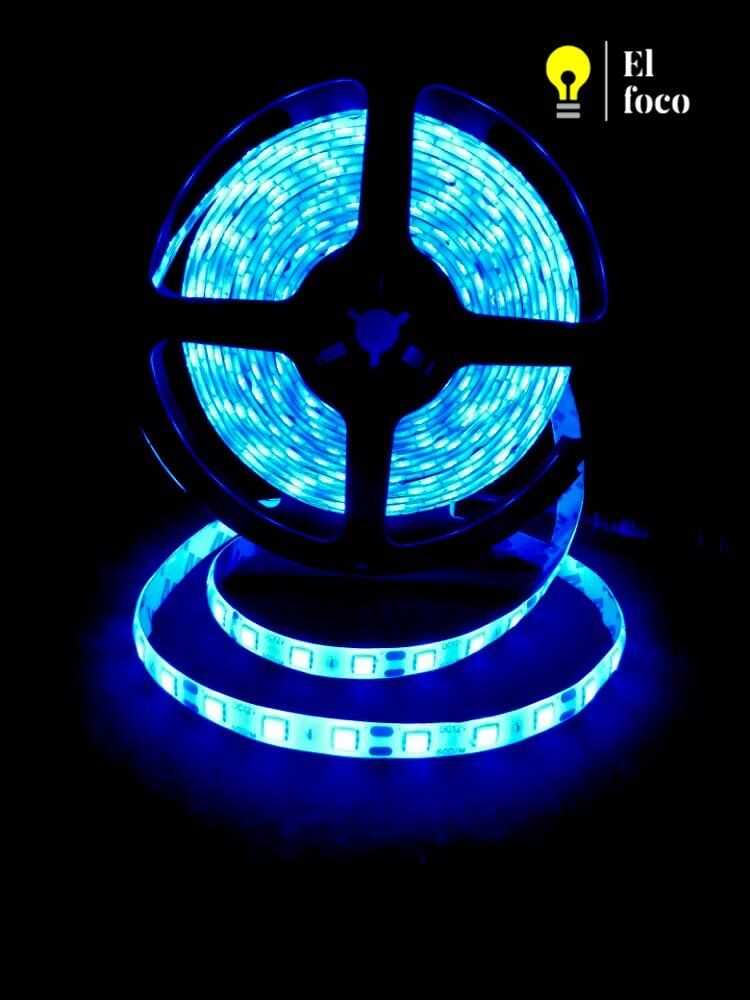 WhatsApp Image 2021-04-09 at 10.30.51 AM (1)