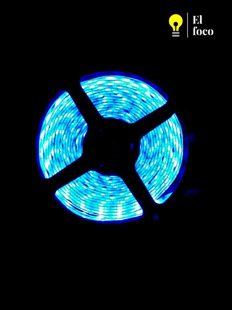 WhatsApp Image 2021-04-09 at 10.30.51 AM