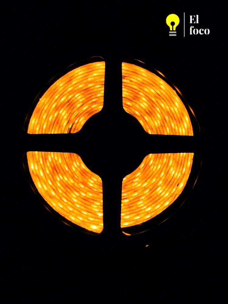 WhatsApp Image 2021-04-09 at 10.30.59 AM (1)