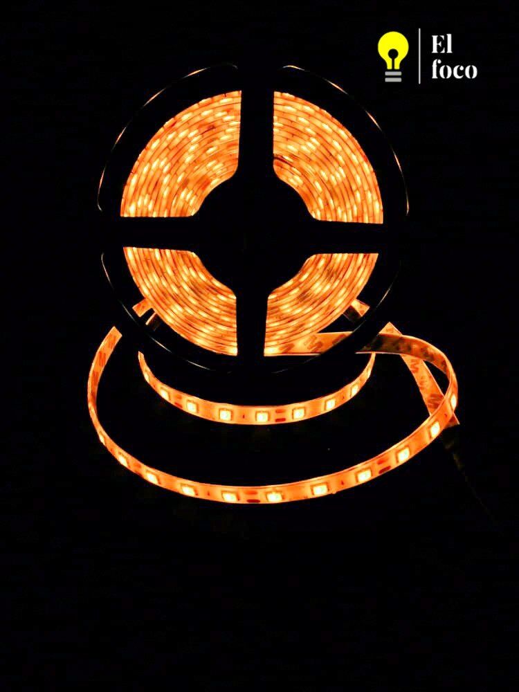 WhatsApp Image 2021-04-09 at 10.30.59 AM