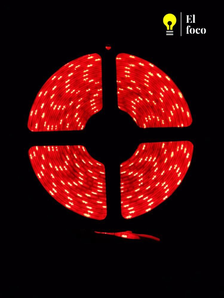 WhatsApp Image 2021-04-09 at 10.31.07 AM